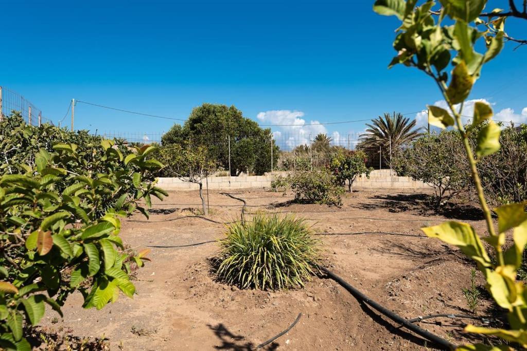 Vivienda Vacacional Ca' Pepita Y Jose El Albercon Exteriér fotografie